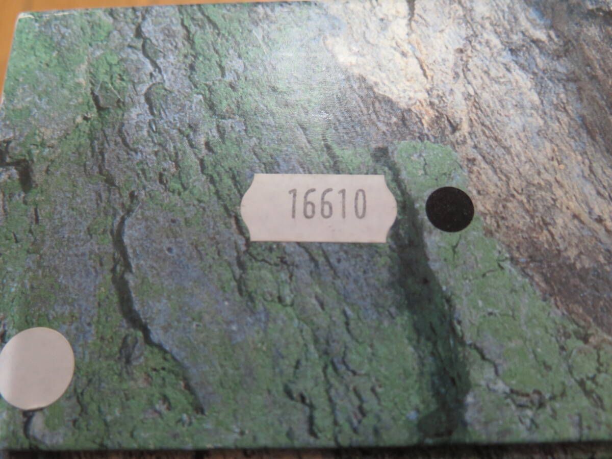 ロレックスサブマリーナー16610，化粧箱、外箱、付属品、当時のギャラケース、説明書、タグ、シール他貴重品_画像4