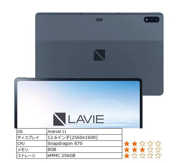 新品 NEC LAVIE T12 PC-T1295DAS 12.6型 Snapdragon 870 メモリ8GB ストレージ約256GB Wi-Fiモデル 指紋認証 顔認証 Android 11_画像2