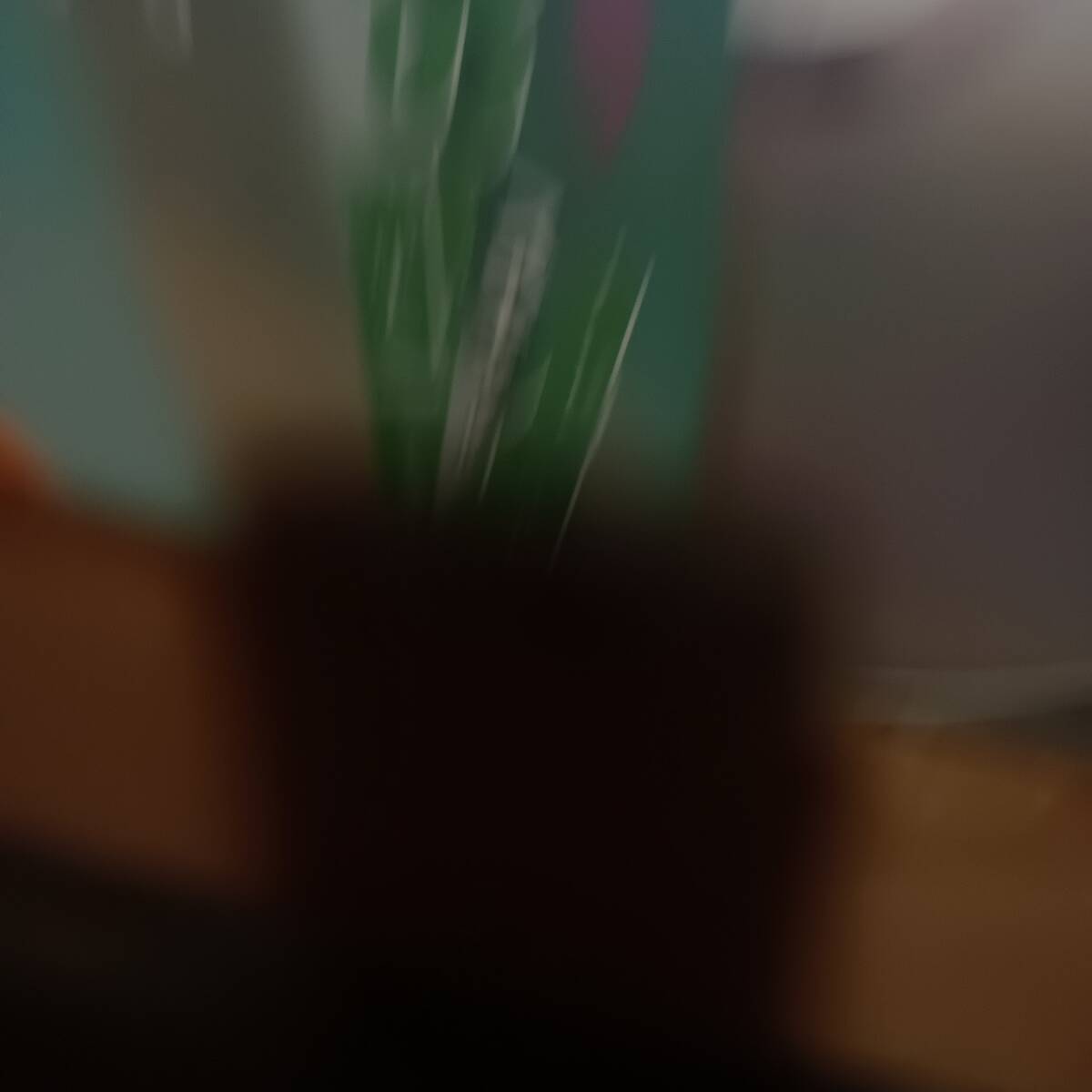 LD24-4 лазерный диск Takeda . прекрасный . venus. ..