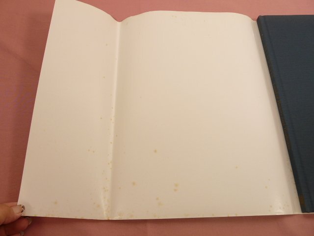 ★洋書 『 Nippon Land of Beauty and Tradition 』_画像4