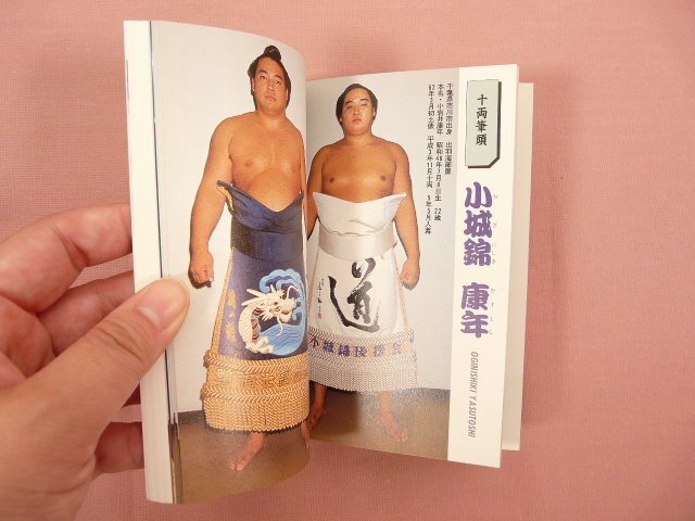 『 大相撲力士カラ―名鑑 1993年秋 付・角界裏方名鑑 古今兄弟関取物語 』 ベースボール・マガジン社_画像2