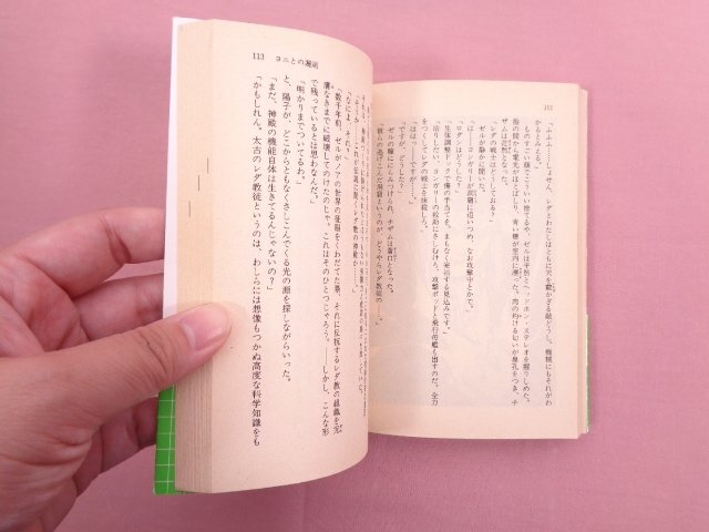 『 幻夢戦記 レダ 』 菊池秀作/文 いのまたむつみ/絵 講談社_画像2