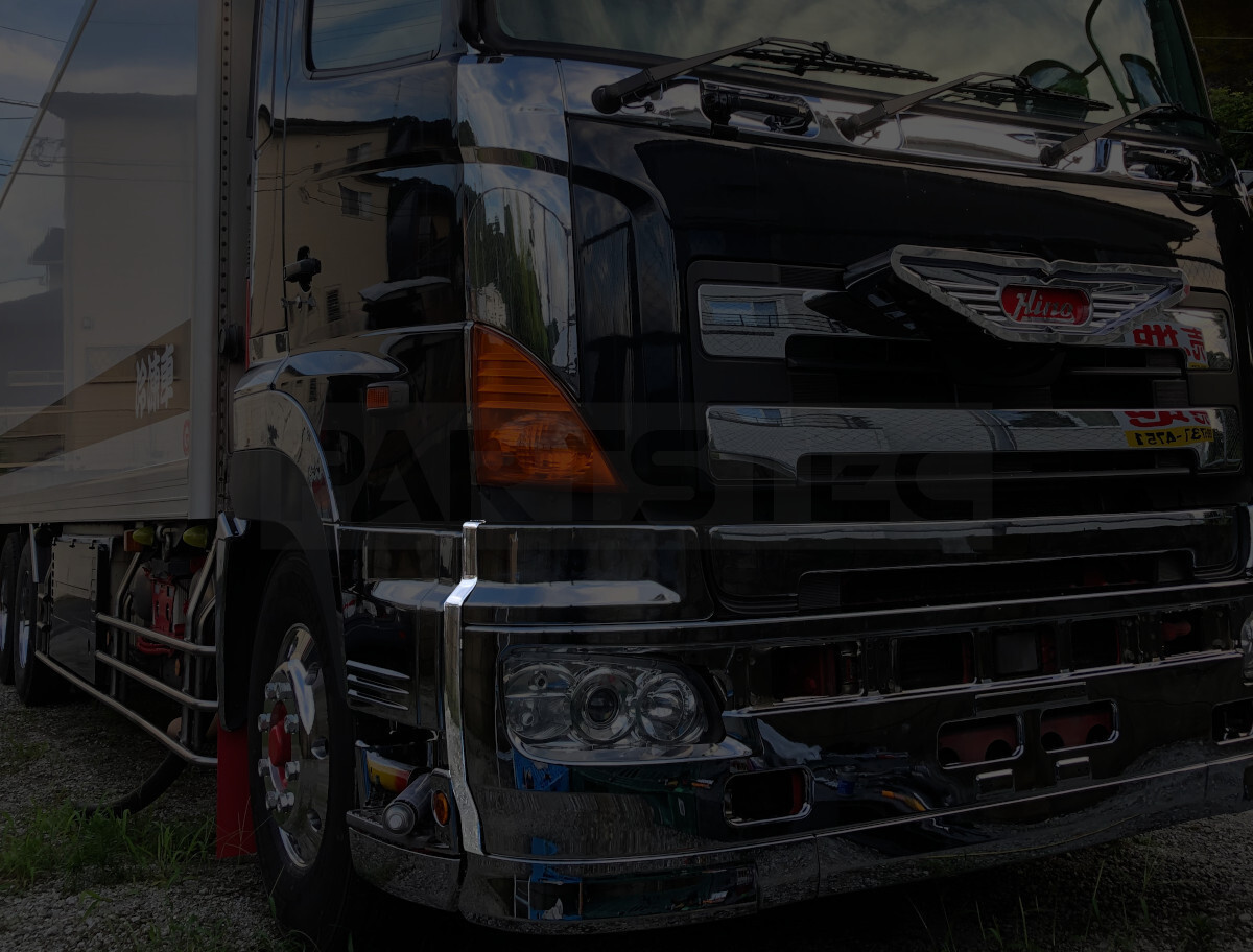 * товар с некоторыми замечаниями * saec NEW Profia Grand Profia металлизированный бампер боковая крышка левый и правый в комплекте отделка / 147-317 JP NC*