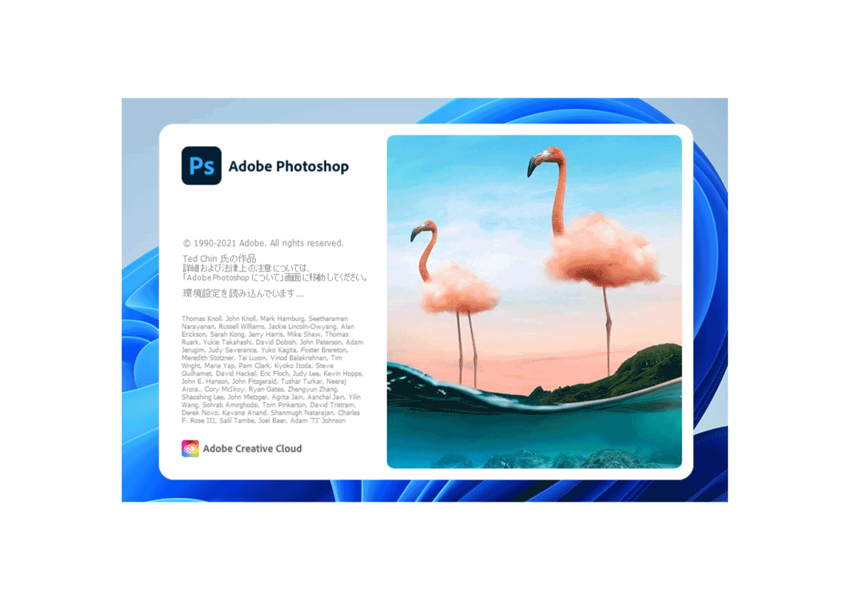 Adobe Illustrator 2021 Photoshop 2021の画像2