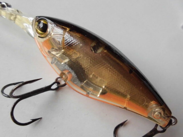 イマカツ IS-200_画像4