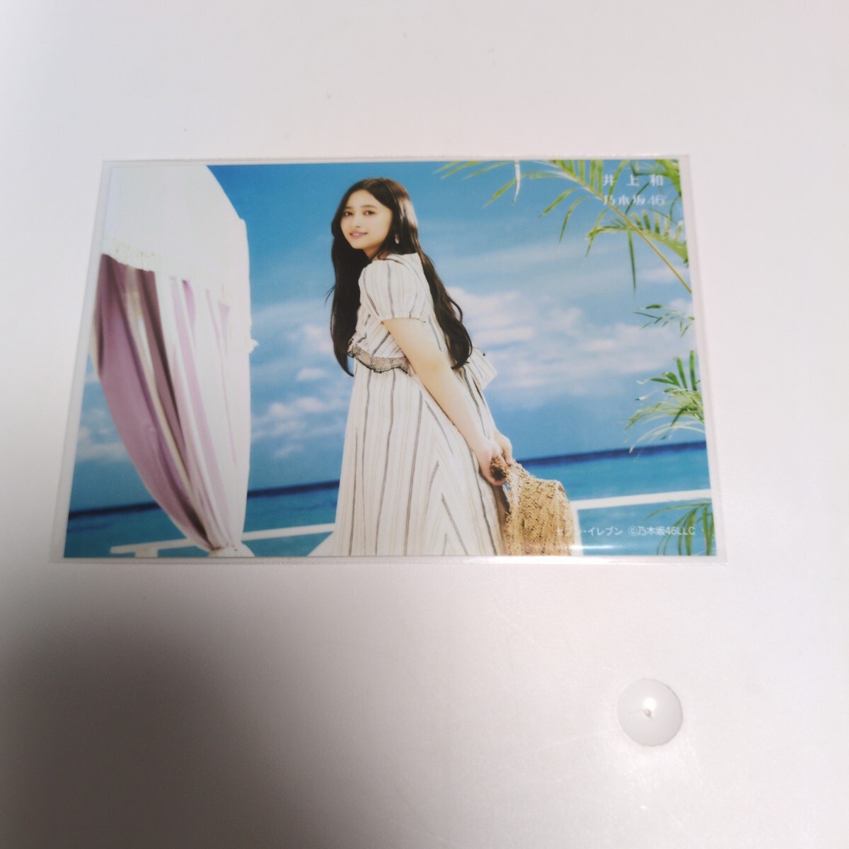 乃木坂46 井上和 生写真 Same numbers セブンネット購入特典　即購入可_画像1