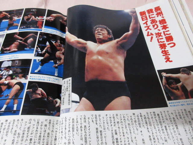 「週刊プロレス　NO.407　1990．11／20」前田告発　シン新日復活　ベースボールマガジン社_画像9