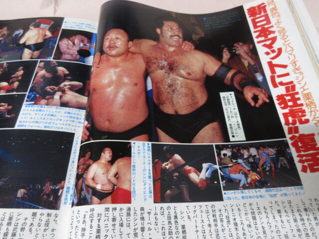 「週刊プロレス　NO.407　1990．11／20」前田告発　シン新日復活　ベースボールマガジン社_画像8