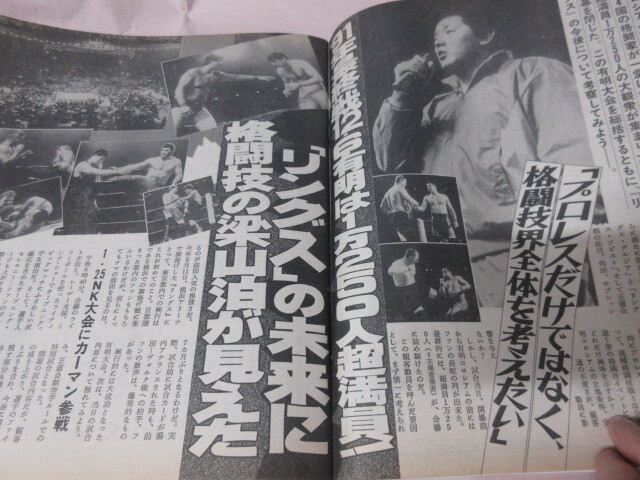 「週刊ゴング　NO.391　1991．12／26」ゴディウィリアムス対三沢川田　Dキッド引退　前田対Vハン　大仁田対シーク　日本スポーツ出版_画像7