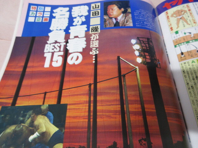 「週刊ゴング　NO.391　1991．12／26」ゴディウィリアムス対三沢川田　Dキッド引退　前田対Vハン　大仁田対シーク　日本スポーツ出版_画像9