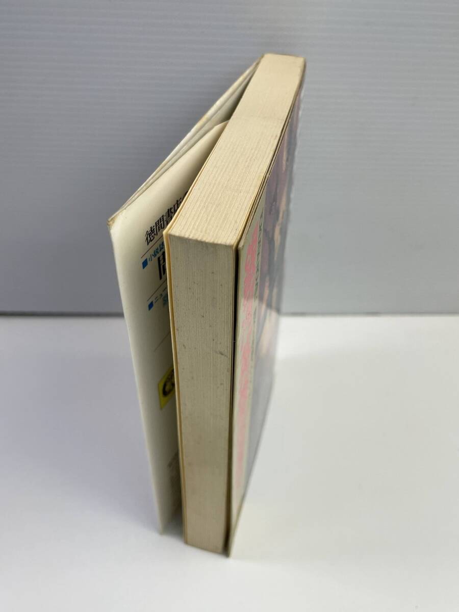 銀河英雄伝説 10 落日篇 田中芳樹 徳間書店 平成7年 1995年発行【K181579】_画像2