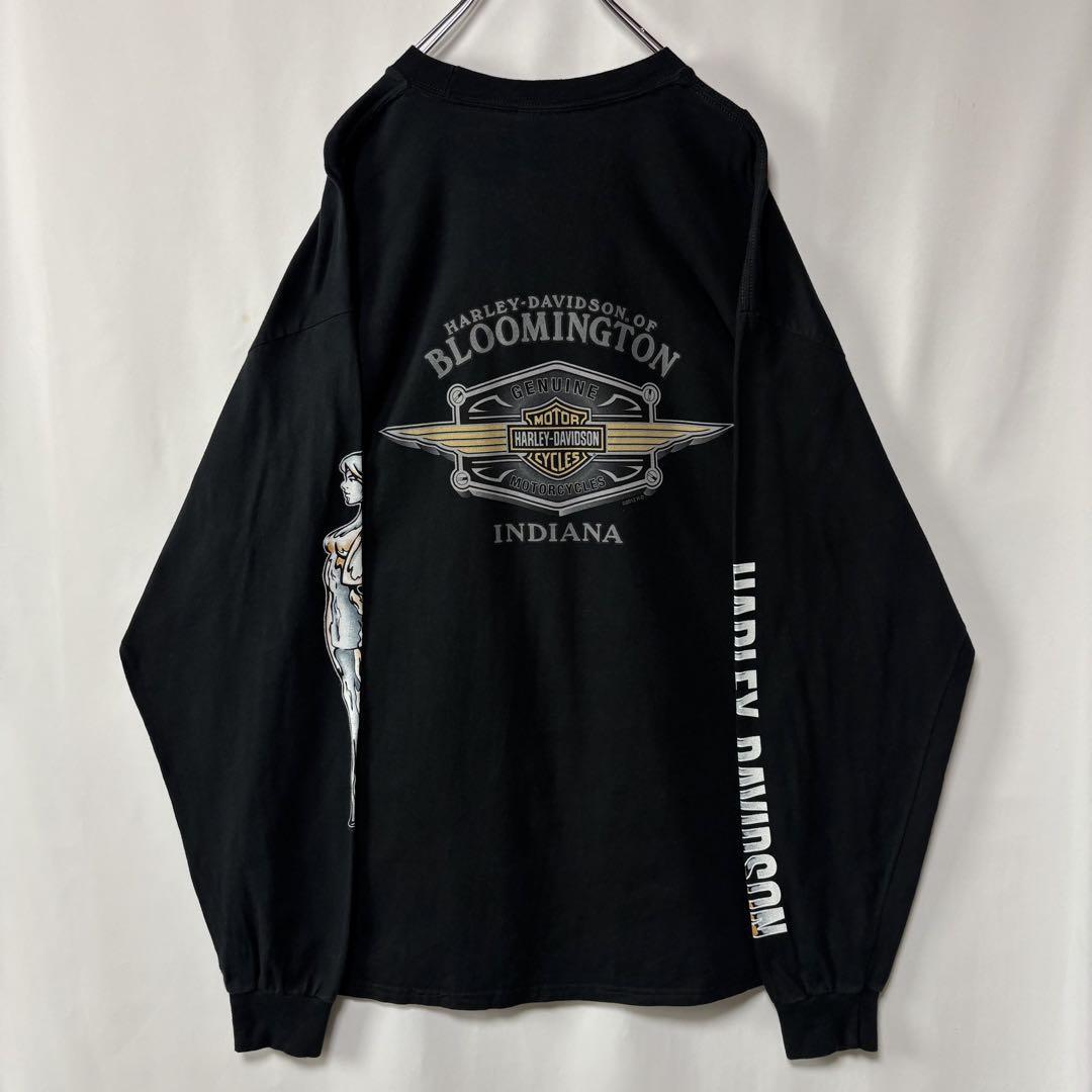 ハーレーダビッドソン　ロングTシャツ　XLサイズ　ブラック　古着　プリントロゴ_画像5