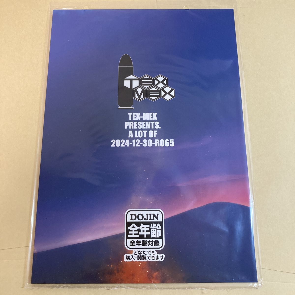 「HOLO A LIVE vol.2」TEX-MEX VTuber 同人誌 広江礼威 ホロライブ B5 34p_画像8