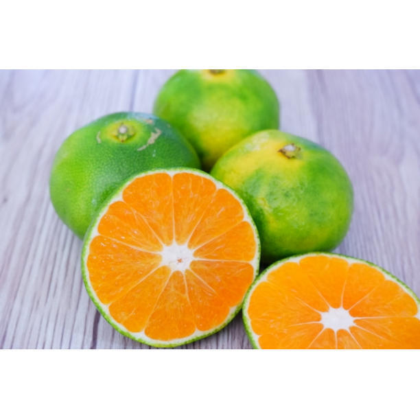 有田みかん 極早生 ゆら早生 10㎏ 蜜柑 減農薬 産地直送 高糖度 朝採れ直送 和歌山産 農家直送 採れたてを即発送 旬の味覚 送料無料1_画像5