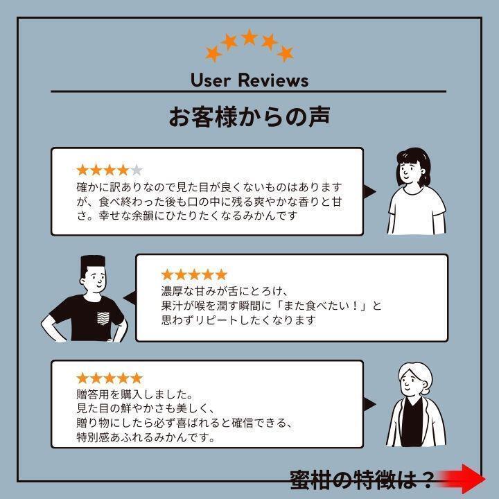 有田みかん 極早生 ゆら早生 10㎏ 蜜柑 減農薬 産地直送 高糖度 朝採れ直送 和歌山産 農家直送 採れたてを即発送 旬の味覚 送料無料1_画像2