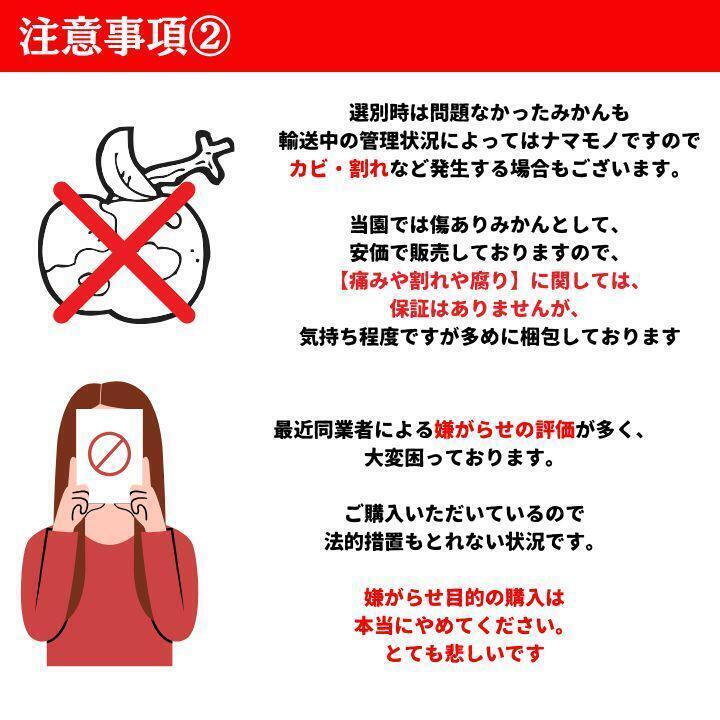 有田みかん 極早生 ゆら早生 10㎏ 蜜柑 減農薬 産地直送 高糖度 朝採れ直送 和歌山産 農家直送 採れたてを即発送 旬の味覚 送料無料1_画像9