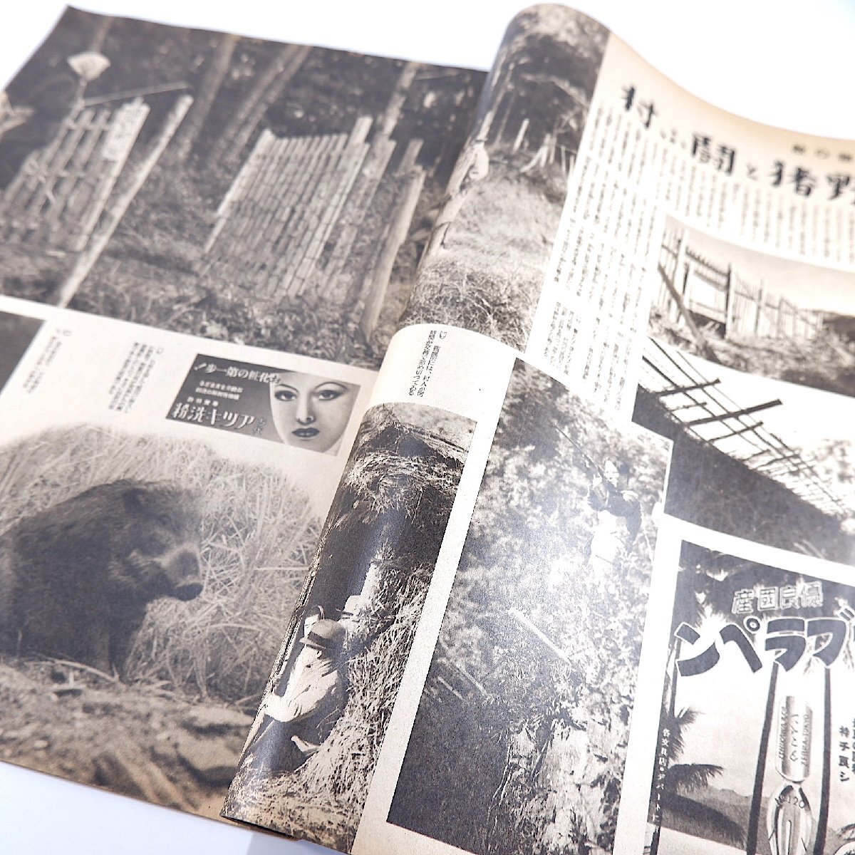 アサヒグラフ 1940年12月25日号／農村報国推進隊 海南島の牧場 愛知県額田郡◎野猪と闘ふ 馬糞で熱湯沸かす 本多熊太郎 豊橋狭間小学校_画像7