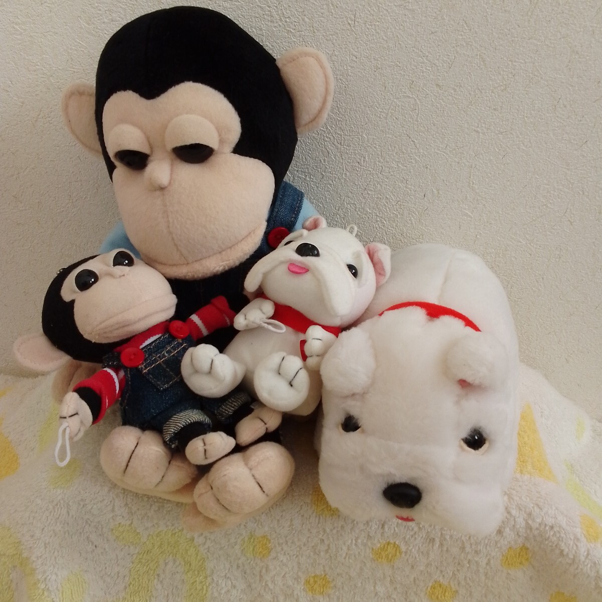 志村どうぶつ園 パン＆ジェームズ ぬいぐるみ マスコット まとめ売り_画像2