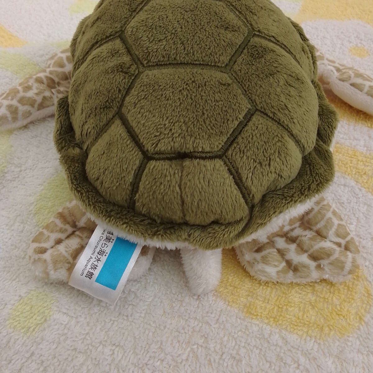 沖縄美ら海水族館 ぬいぐるみ ウミガメ カメ 亀 水族館 アオウミガメ 約20cm Sサイズ_画像9