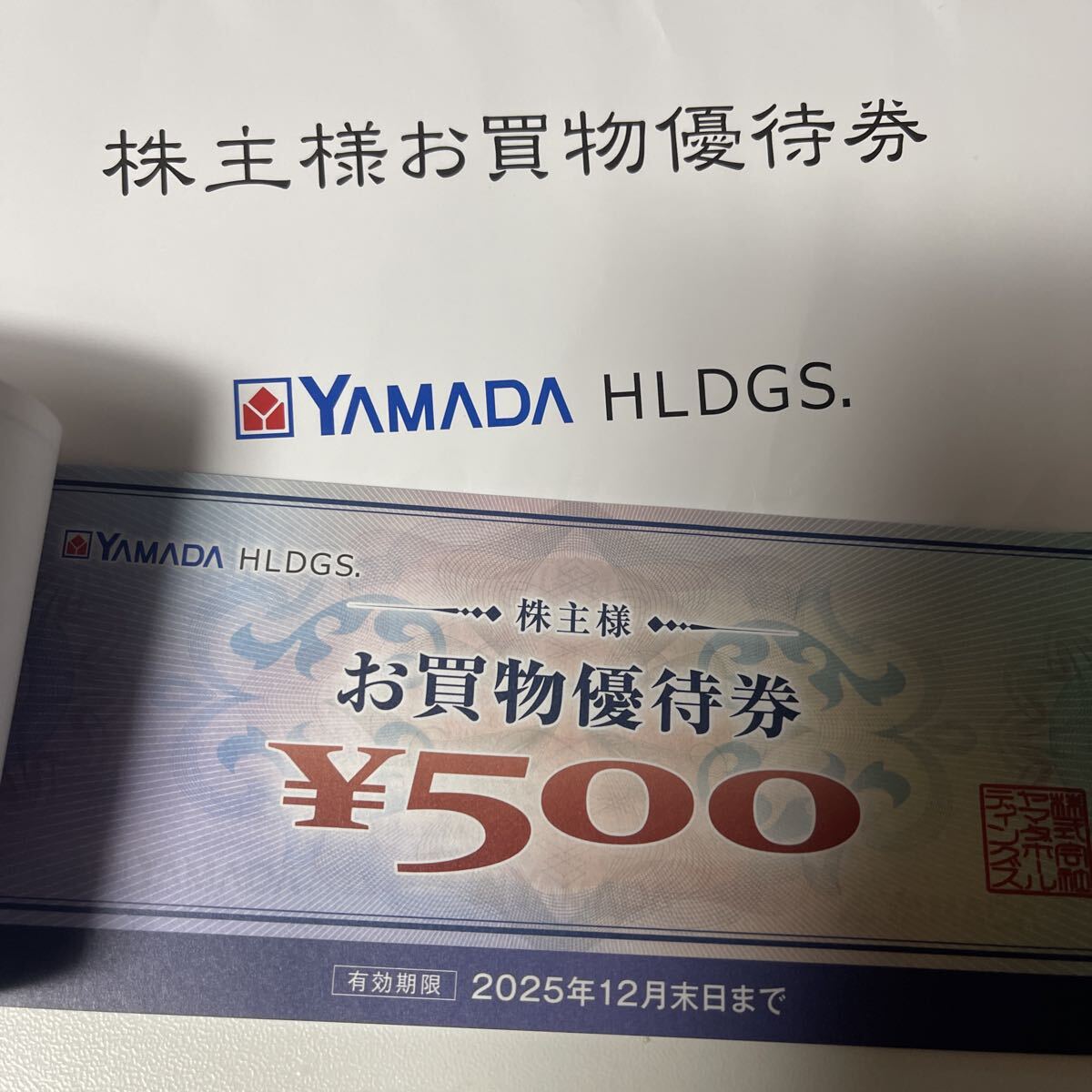 ヤマダ電機(jī) 株主優(yōu)待 お買物優(yōu)待券11000円分