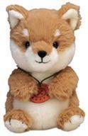 中古ぬいぐるみ 柴犬 ぬいぐるみ 「Potte」_画像1