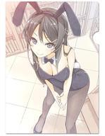 中古クリアファイル A.桜島麻衣 A4クリアファイル 「青春ブタ野郎はバニーガール先輩の夢を見ない」_画像1