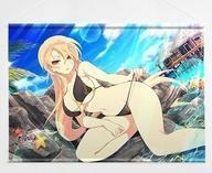 中古タペストリー 総司(水着) B2タペストリー 「シノビマスター 閃乱カグラ NEW LINK」_画像1