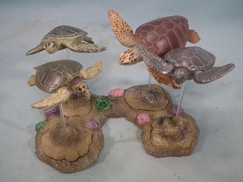 カロラータ ウミガメ Vol.2_画像2