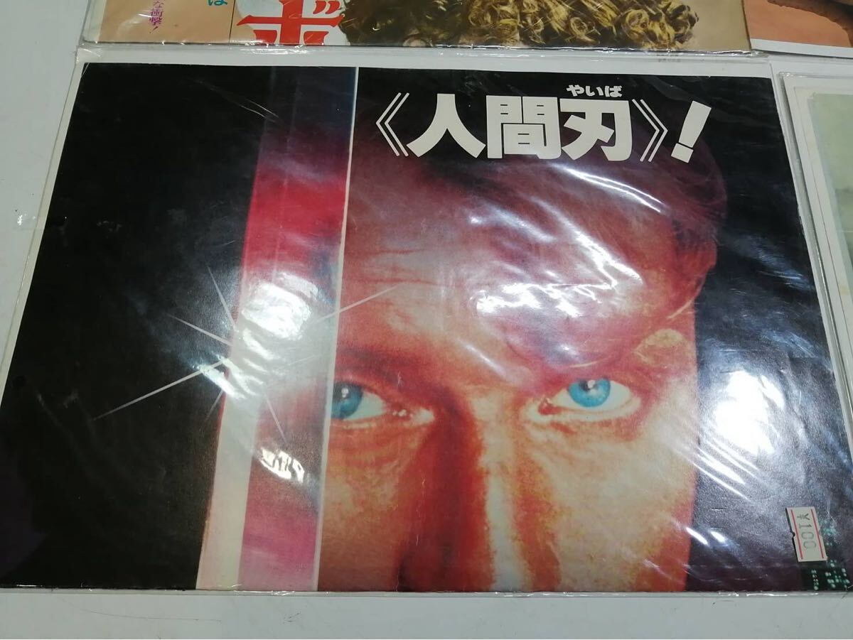 58【ポスター写真集まとめ】砂田弓弦 カレンダー GREAT CYCLING RACES 2009 君は銃口 俺は引金 ボウイ&キーチブラインド・フューリー 他 あ_画像6