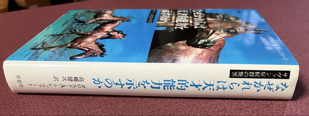 なぜかれらは天才的能力を示すのか_画像2