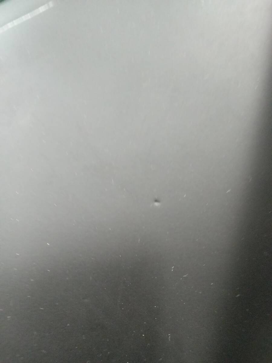 レディース ウェットスーツ スキンタッパー LBサイズ 3mm レディース 長袖 クラシック タッパ ジャケット ウエットスーツ サーフィン_画像7