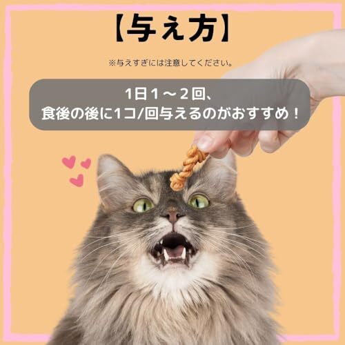  earth * домашнее животное еда .... зуб ... трос love кошка для коллаген добродетель для 15 шт ×3 шт. комплект 