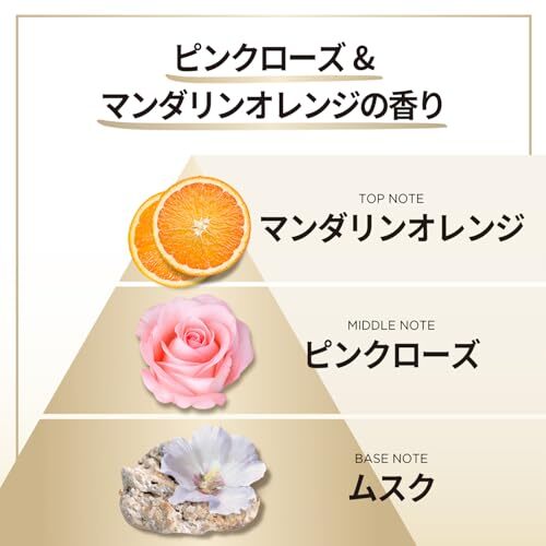  хлеб te-n miracle z шампунь 440g+(10g+10g) насос mo стул коричневый -& энергия ремонт [ дополнение ]