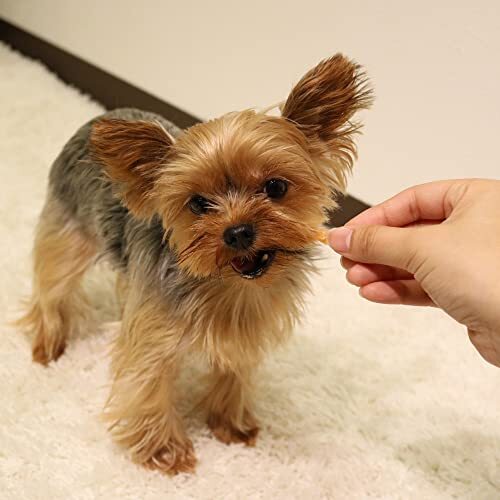 ドギーマン ホワイデント ササミdeデンタル プレーン 70g×4個セット_画像4