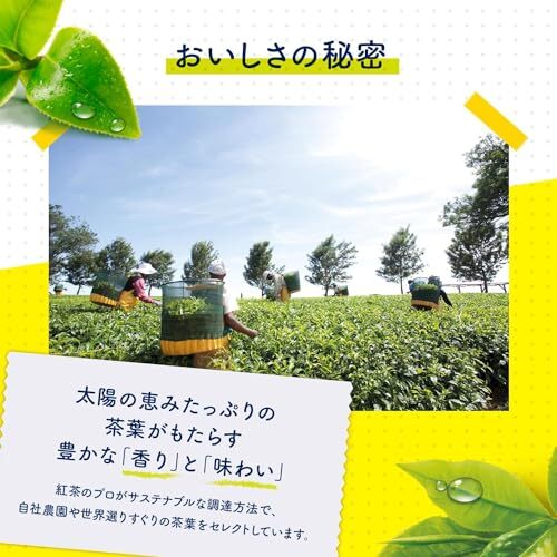 リプトン紅茶 イエローラベル ティーバッグ 50袋×6箱_画像4