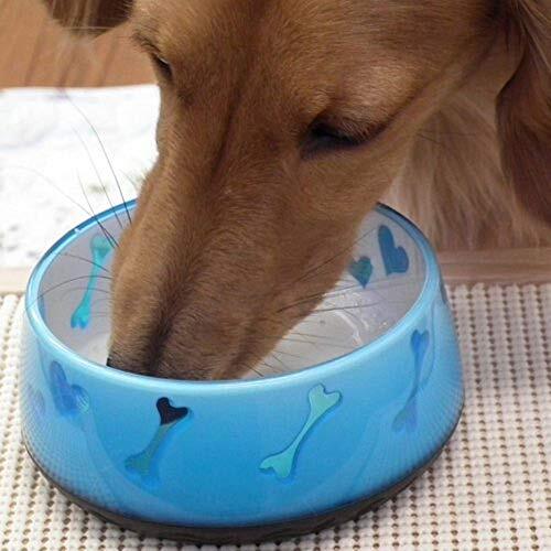 ドギーマン ペットの牛乳 幼犬用 1000ml_画像3