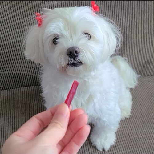 ペティオ (Petio) 素材そのまま 紫さつまいも 細切りタイプ 260g_画像8