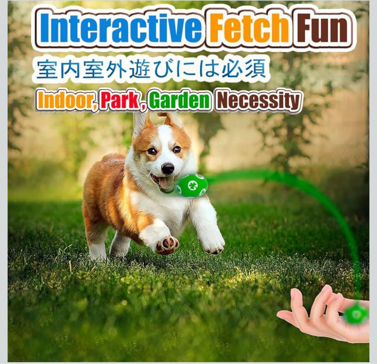 звучащий собака игрушка 4 позиций комплект натуральный la Tec s маленький размер собака . собака .. игрушка -тактный отсутствует аннулирование чистка зубов . починка простой мебель защита салон развлечение