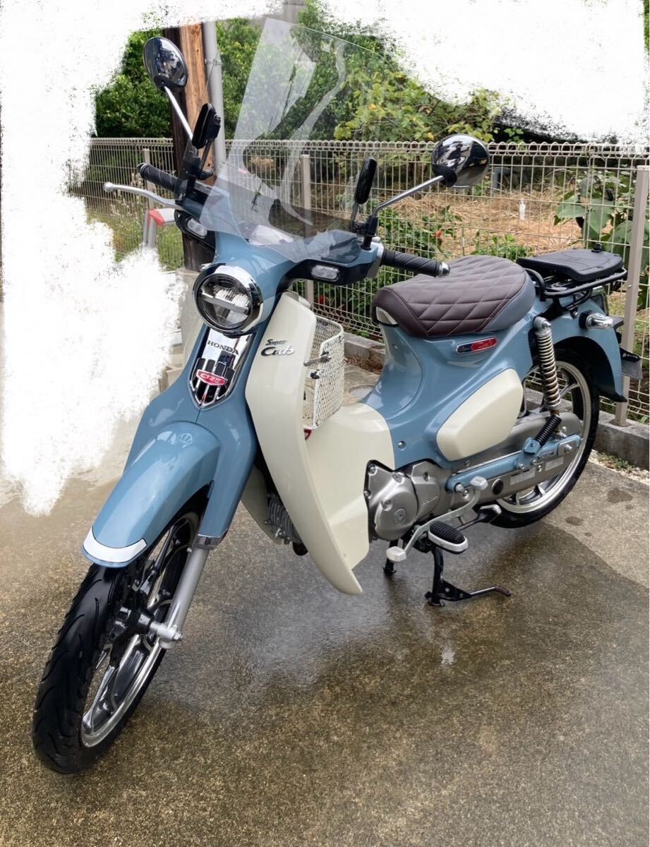 美車 ホンダ スーパーカブ C125 JA48 カスタム多数　愛知 岐阜 三重 尾張 名古屋 /検 ハンターカブ　クロスカブ　110 90 70 _画像1
