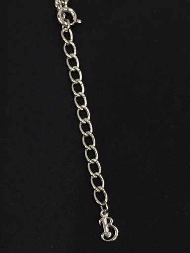 バーバリーズ ラウンド ロゴ メダルモチーフ ネックレス シルバーカラー アクセサリー 保存箱付き Burberrys QH102-80_画像6