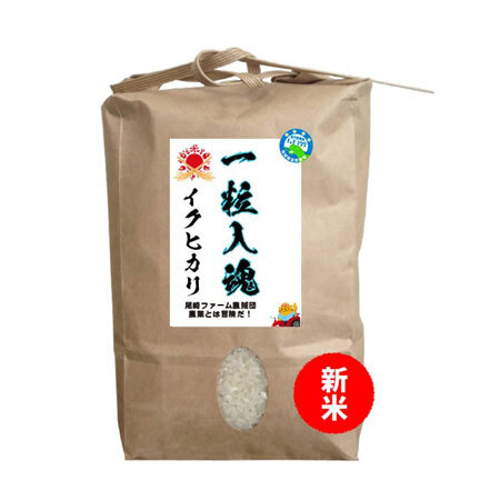 一粒入魂 低農薬化学肥料不使用イクヒカリ5ｋｇ入 2025年度新米　入荷_画像1