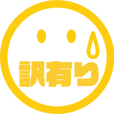 東芝 dynabook G83 中古ノートパソコン 訳 WPS Office搭載 Windows11 8GB SSD256GB コアi5 フルHD 13.3型 WEBカメラ_画像8