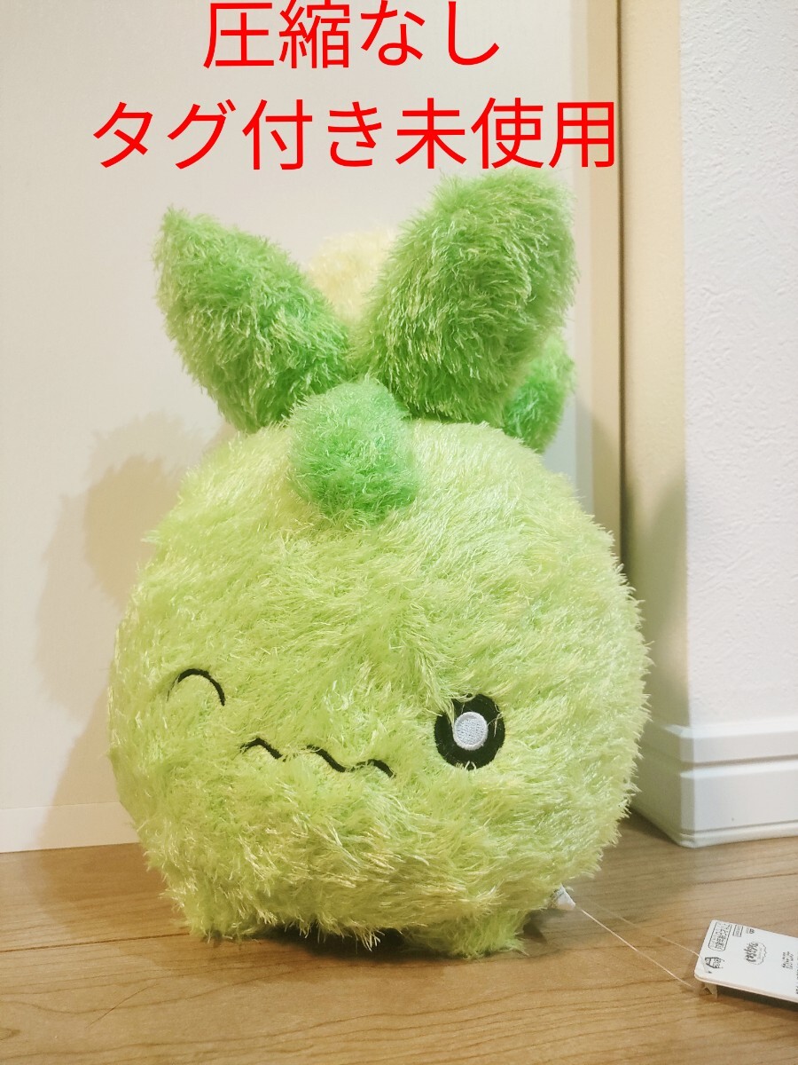 ポケットモンスター もふぐっと くつろぎタイムぬいぐるみ ミニーブ タグ付き ポケモン_画像1