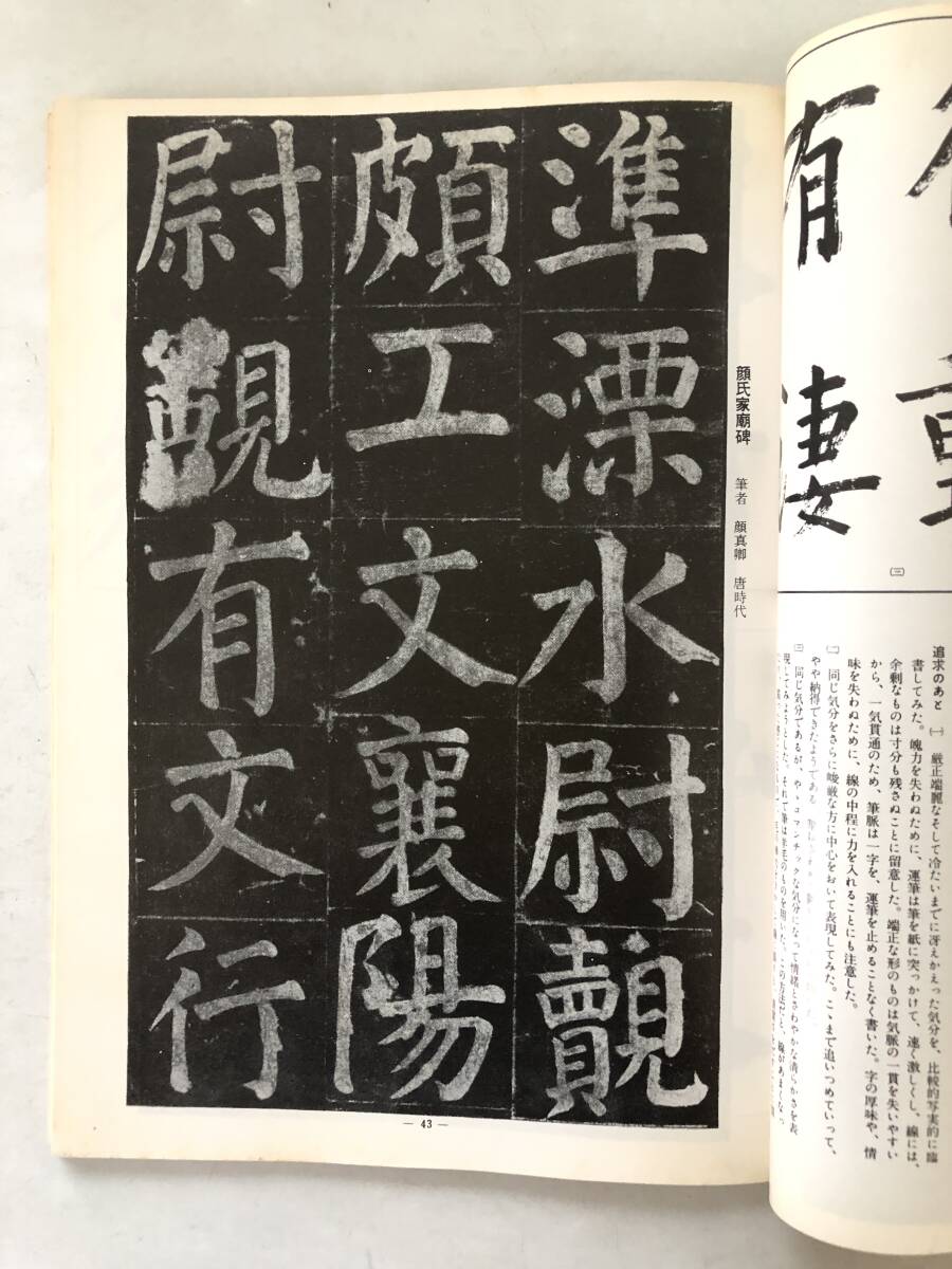 書の鑑賞と學び方 著者 上田桑鳩 図版 必習古典 一般古典 中国の部・日本の部ほか 教育図書研究会 昭和51年 2510-005M_画像8