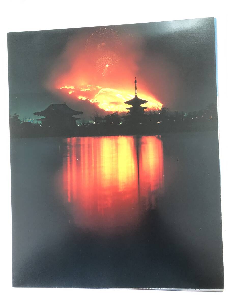 薬師寺と入江泰吉 発菩提心 荘厳嚴国土 四季の薬師寺三重の塔八景 入江泰吉著 ペーパパック付 2510-034M_画像6