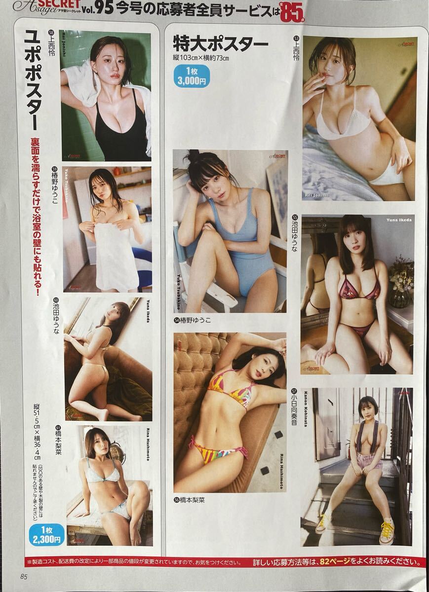 アサ蕓シークレットvol.96 応募者全員サービス特制プレゼント応募用紙（払込取扱票）上西憐　椿野ゆうこ　花咲楓香　など