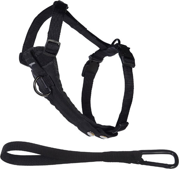 送料300円(税込)■zb724■アマゾンベーシック 中型犬用ハーネス M(60047) 20点【シンオク】_画像2