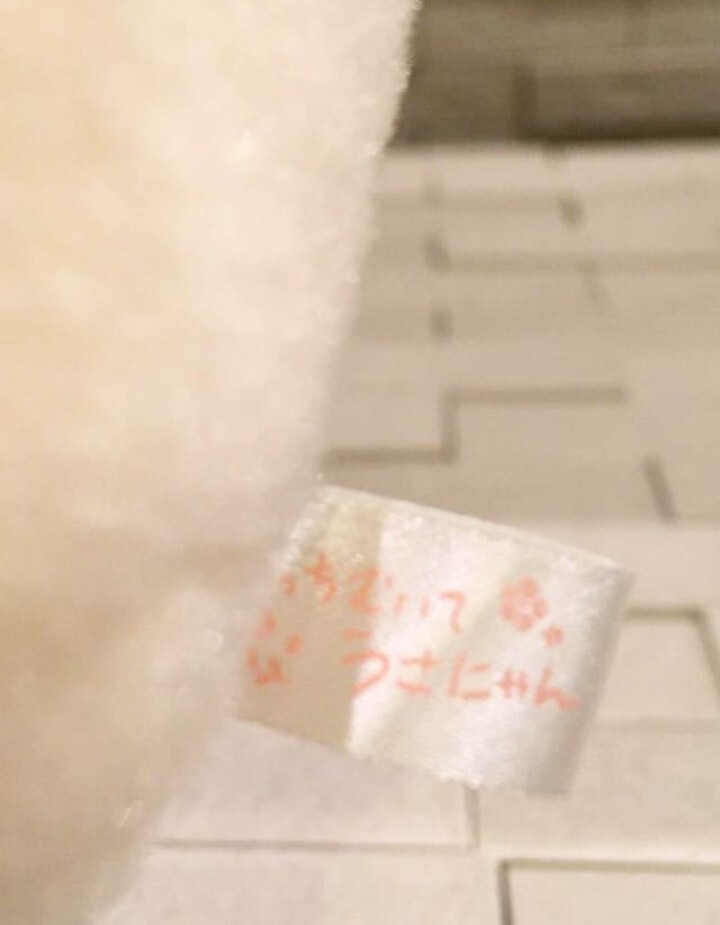 匿名配送込み こっちむいてうさにゃん ねこ ネコ 猫 ぬいぐるみ マスコット 約15㎝ 下半身重り有り_画像6