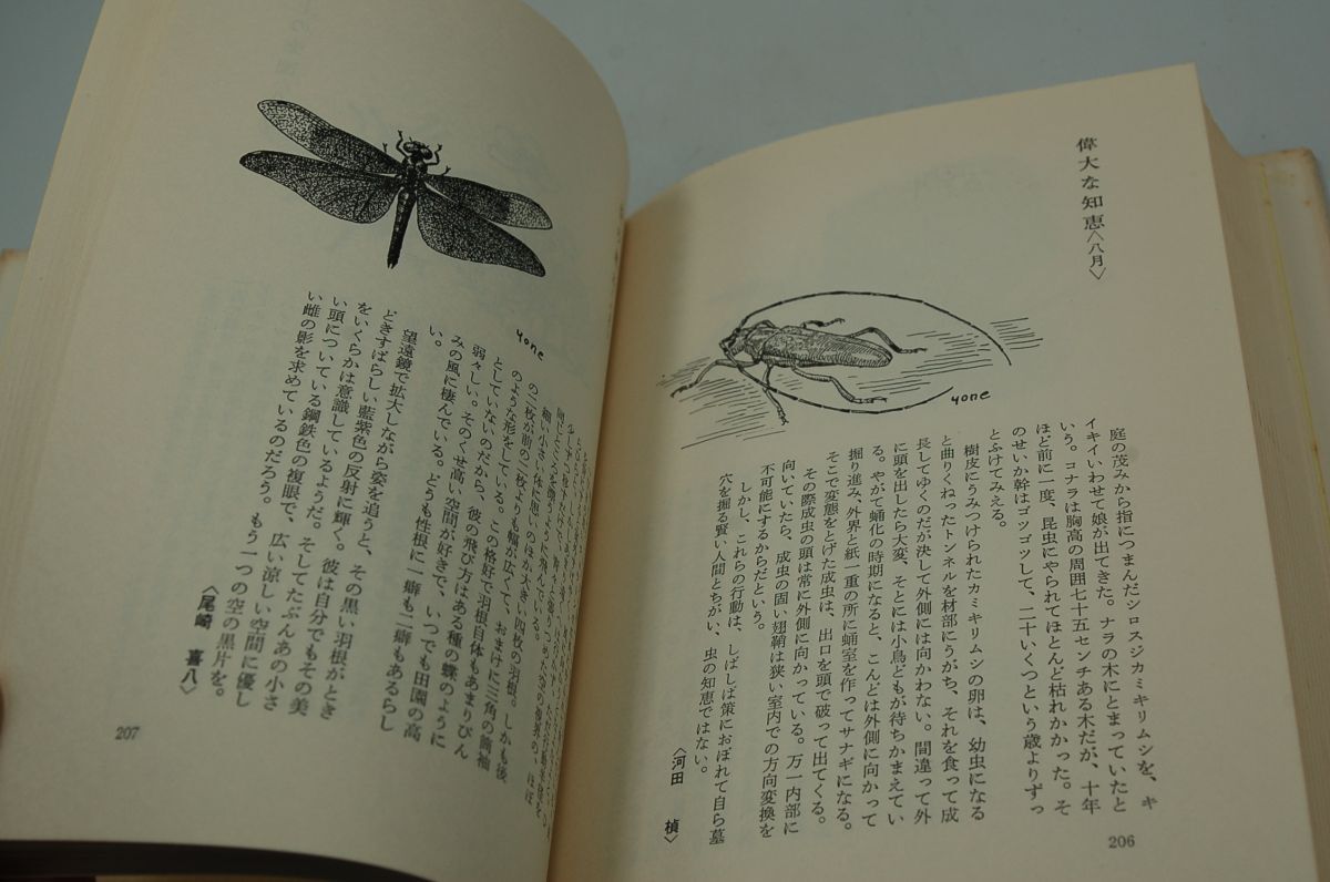 串田孫一 ほか『自然手帖』雪華社　1968年初版カバ帯　尾崎喜八、太田黒克彦、下村兼史 ほか　絵 牧野四子吉_画像10