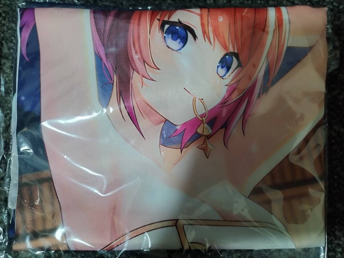 PS4/PS5/Switch 紅の錬金術士と白の守護者 ～レスレリアーナのアトリエ～ ソフマップ特典 B2タペストリー_画像2
